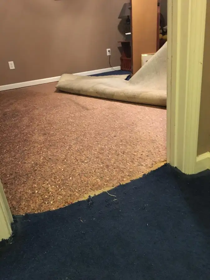 Carpet pad removal revealing water damage during Water Mitigation Services in Heber