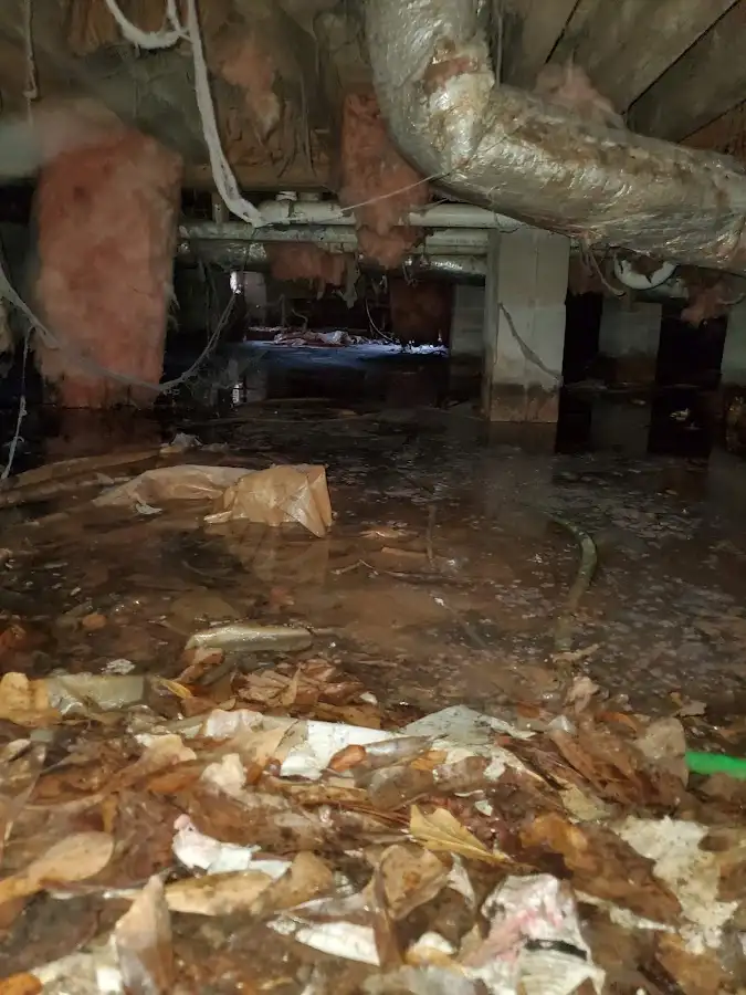 Crawl space flood assessment for Leak Detection & Repair in Heber